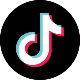 TikTok API