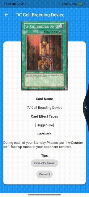 app card detail page